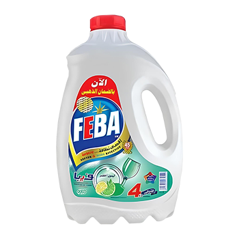 Liquid soap (Feba)