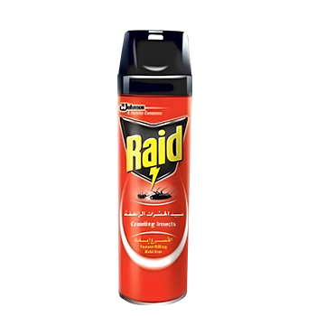 Raid – Crawling Insect Killer with Fragrance
